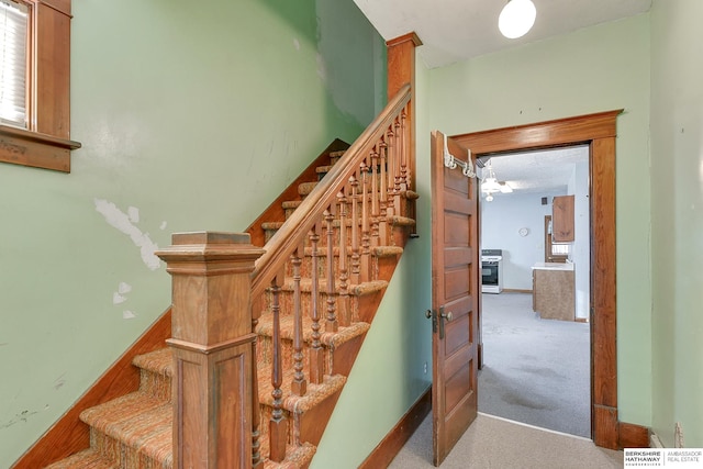 stairway featuring carpet floors