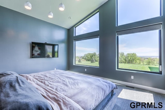 bedroom with carpet flooring, multiple windows, and high vaulted ceiling