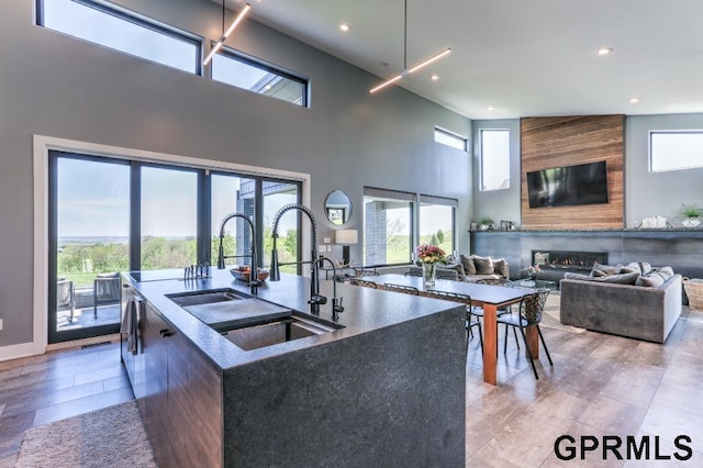 kitchen featuring sink, an island with sink, and high vaulted ceiling