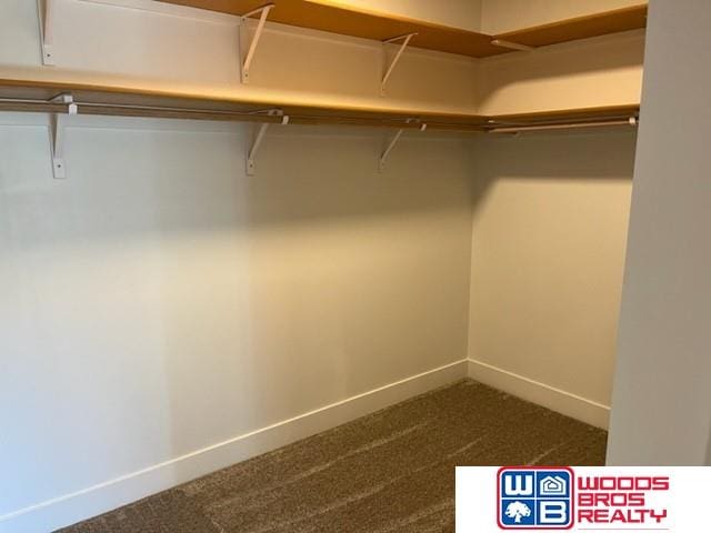 spacious closet featuring dark colored carpet