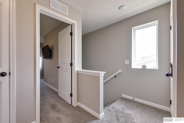 hallway featuring light carpet, a textured ceiling, and a healthy amount of sunlight