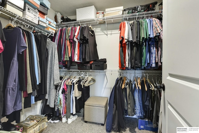 spacious closet featuring carpet