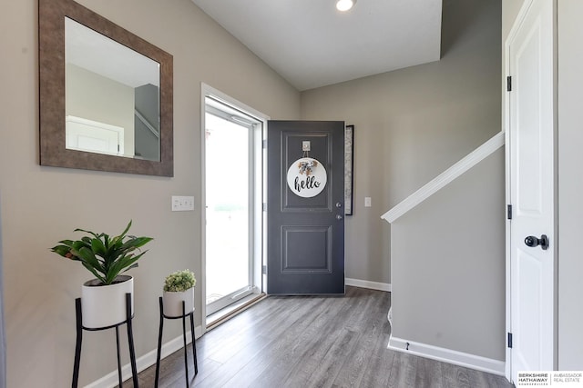 foyer with hardwood / wood-style flooring and a healthy amount of sunlight