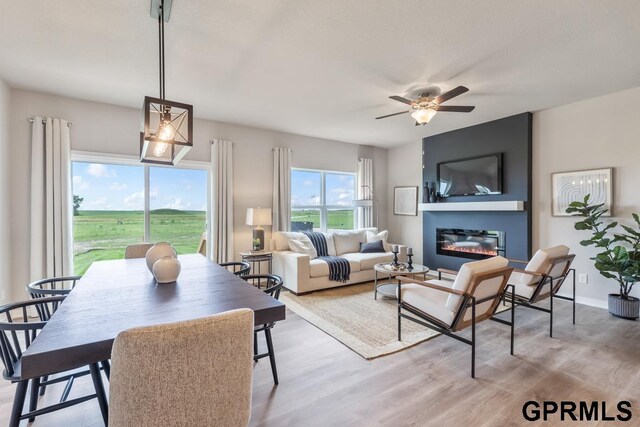 dining area featuring ceiling fan and light hardwood / wood-style flooring