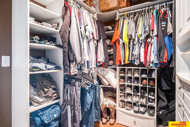 walk in closet with hardwood / wood-style flooring