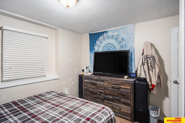 bedroom featuring a textured ceiling