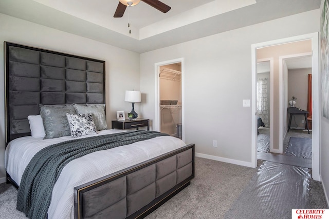 carpeted bedroom with ceiling fan, a walk in closet, a closet, and a tray ceiling