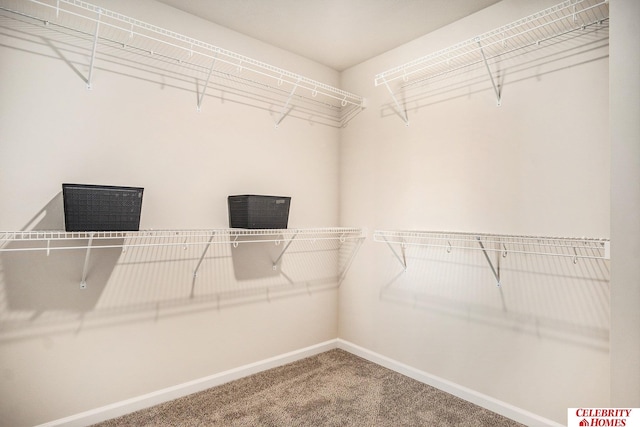 spacious closet with carpet floors