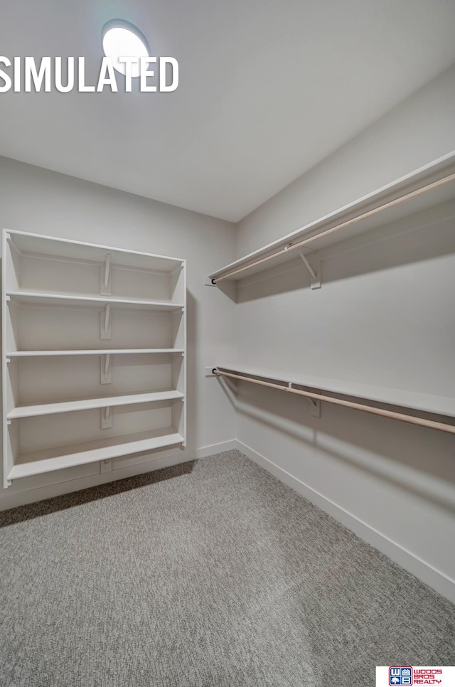 spacious closet featuring carpet flooring