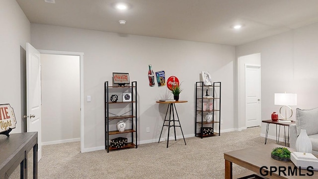 miscellaneous room with light carpet