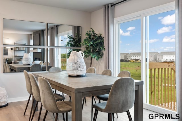 dining room with light hardwood / wood-style flooring