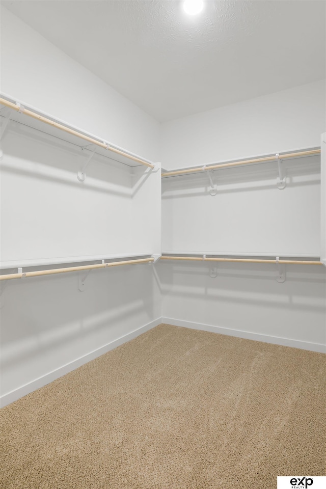 spacious closet with carpet flooring