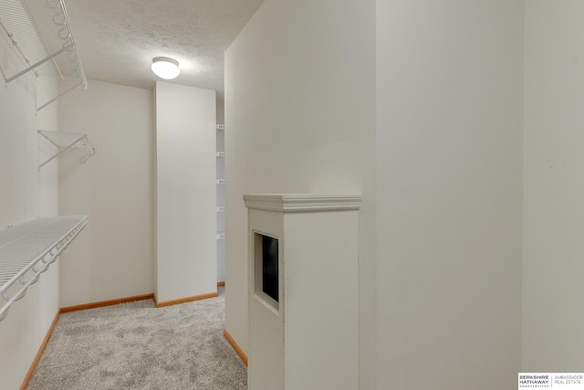 walk in closet featuring light colored carpet