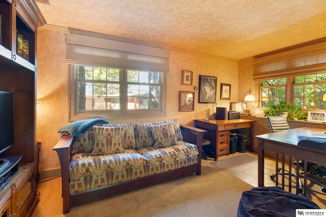 carpeted home office with a textured ceiling, plenty of natural light, and crown molding