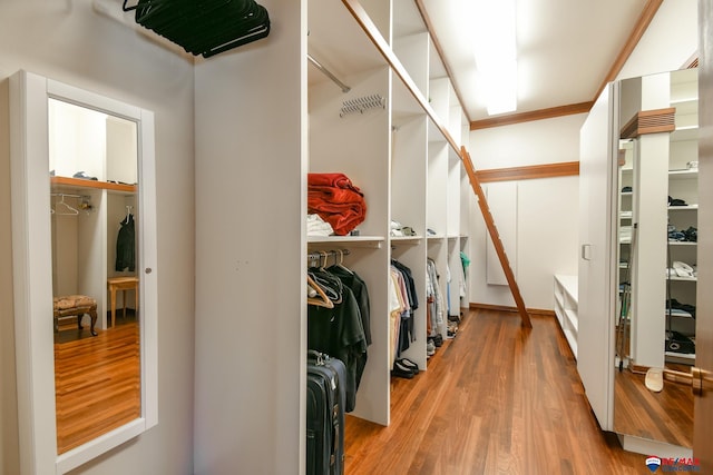 spacious closet with hardwood / wood-style floors