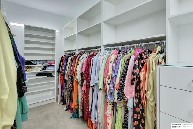 spacious closet featuring light colored carpet