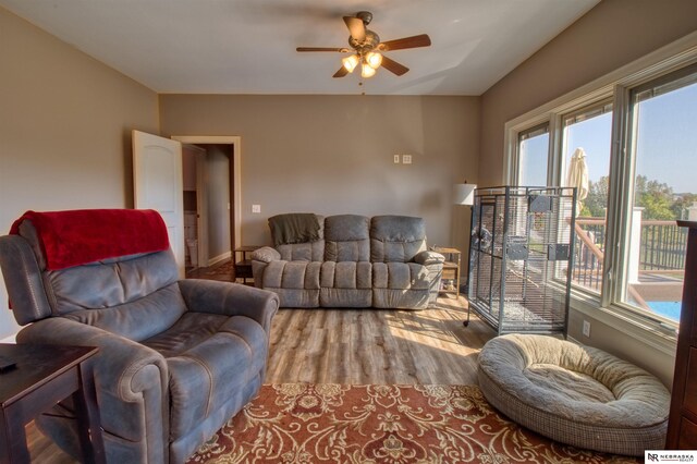 living room featuring ceiling fan and light hardwood / wood-style floors