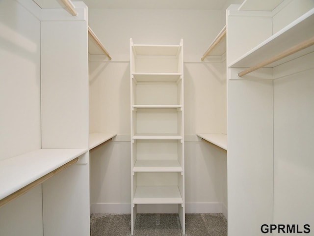 walk in closet featuring carpet flooring