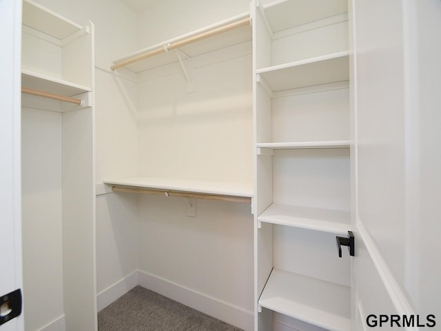 spacious closet featuring carpet floors