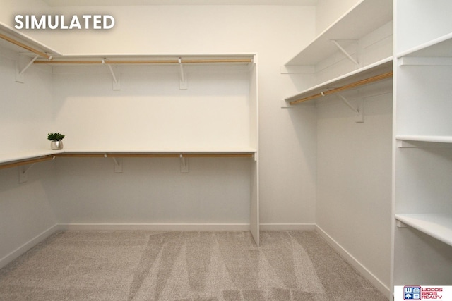 walk in closet with carpet floors