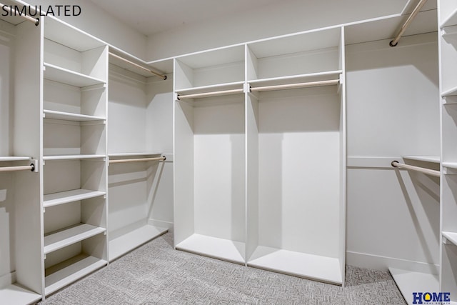 walk in closet with light carpet