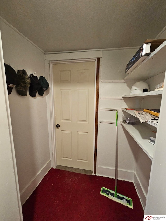 walk in closet with dark carpet