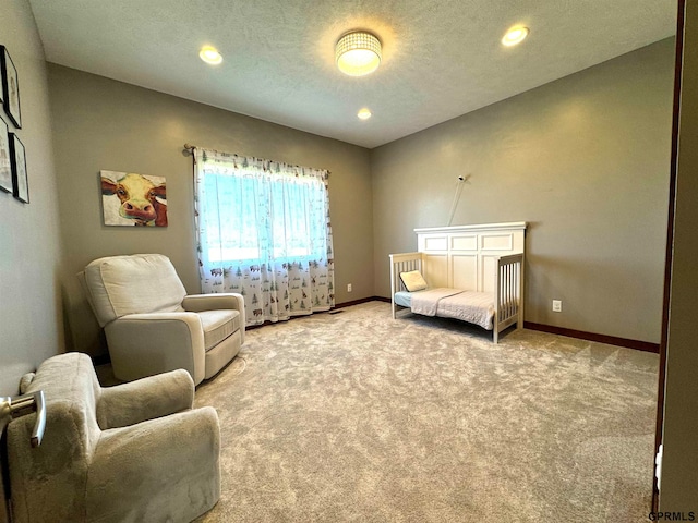 sitting room featuring a textured ceiling and carpet flooring