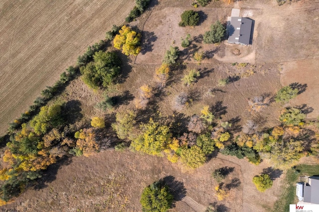 bird's eye view with a rural view