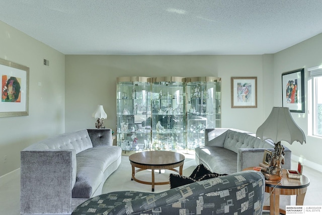 living room featuring a textured ceiling