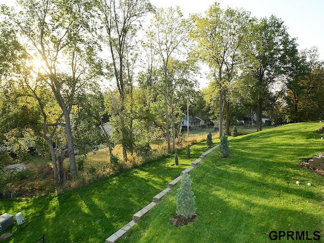 view of home's community with a yard