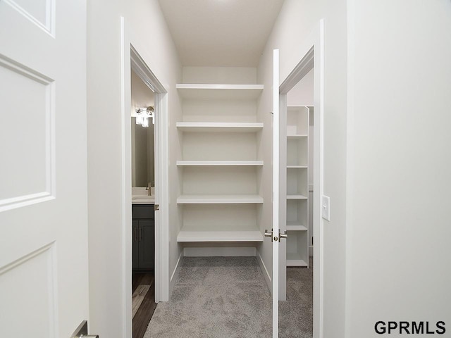 walk in closet featuring light carpet and sink