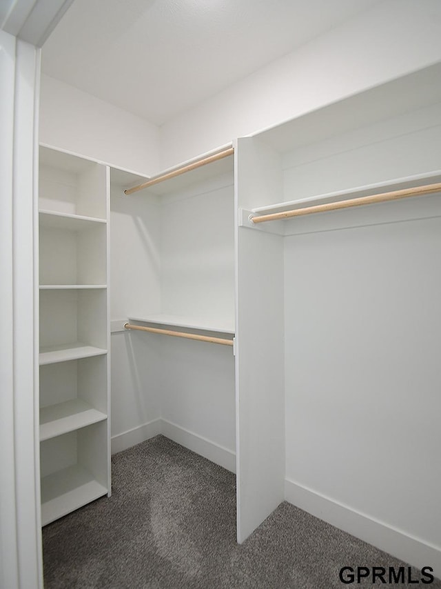 walk in closet featuring dark colored carpet