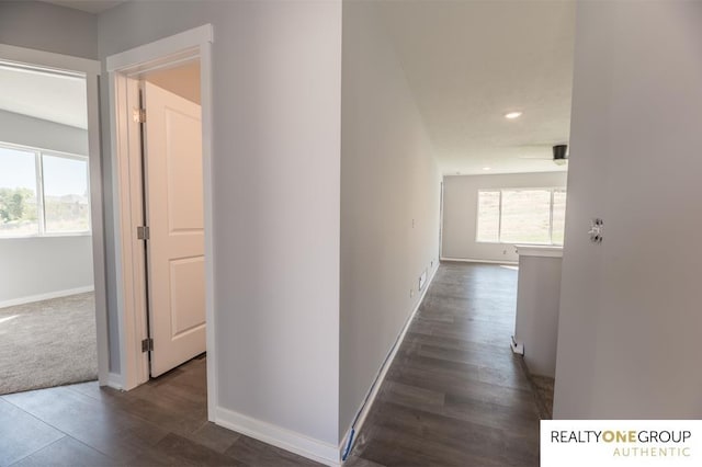 hallway with dark wood-type flooring