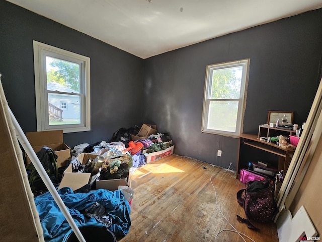 bedroom featuring wood-type flooring