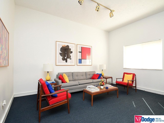 carpeted living room featuring track lighting