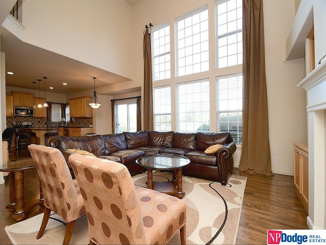 living room with a towering ceiling and wood-type flooring