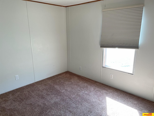 spare room featuring carpet flooring