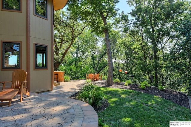 view of yard with a patio area