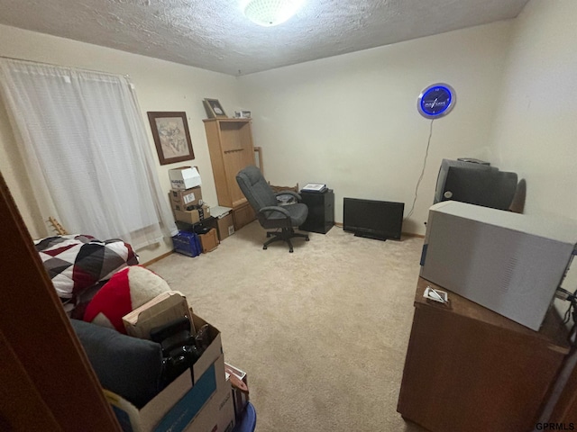 office space featuring a textured ceiling and light colored carpet