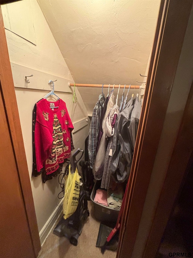 spacious closet with carpet flooring