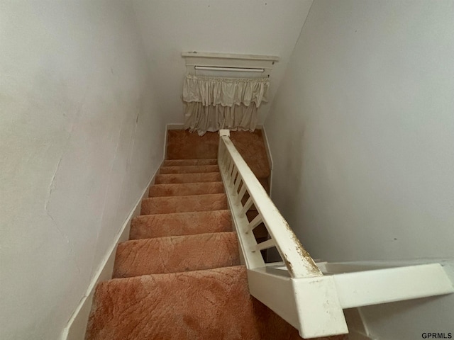 staircase with carpet