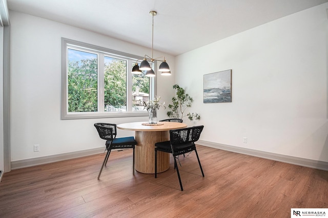 dining space with hardwood / wood-style floors