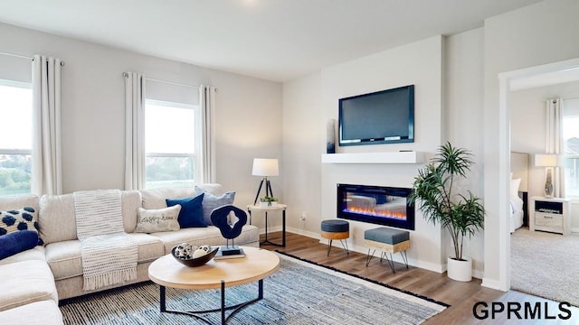 living room featuring wood-type flooring and plenty of natural light