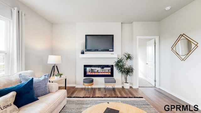 living room with hardwood / wood-style floors and a healthy amount of sunlight