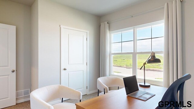 office area featuring carpet floors