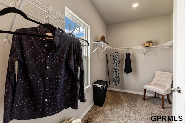 spacious closet with carpet