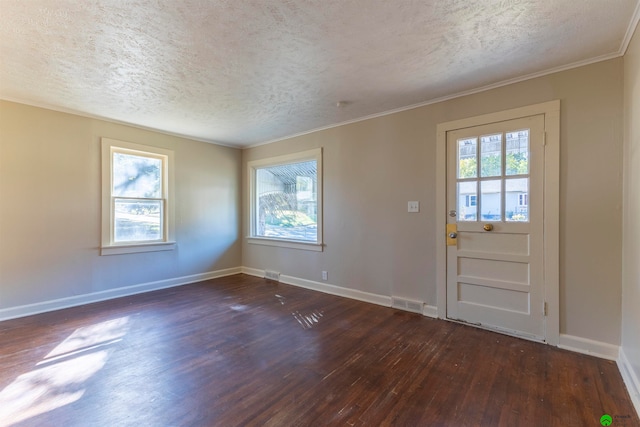 foyer entrance featuring dark wood-type flooring, a textured ceiling, and plenty of natural light