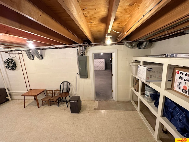 basement with electric panel