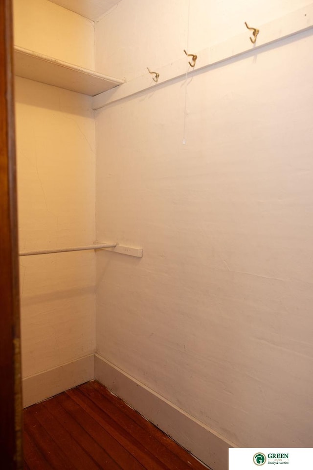 spacious closet featuring dark wood-type flooring