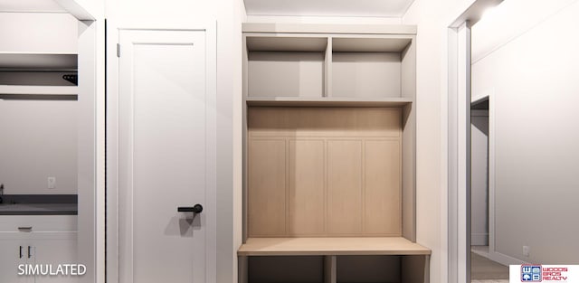 view of closet